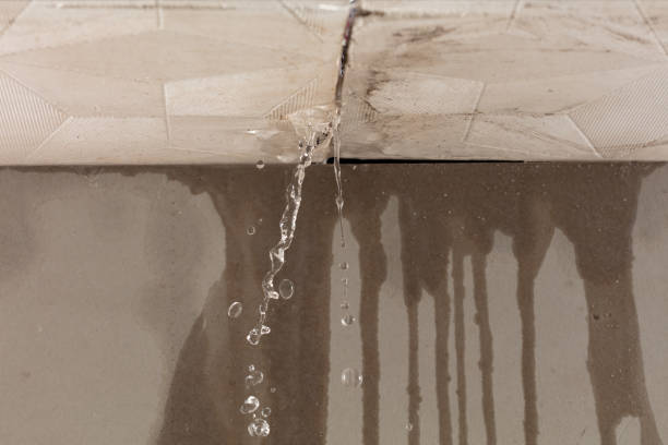 Professional Structural Drying technician working in Channelview, TX